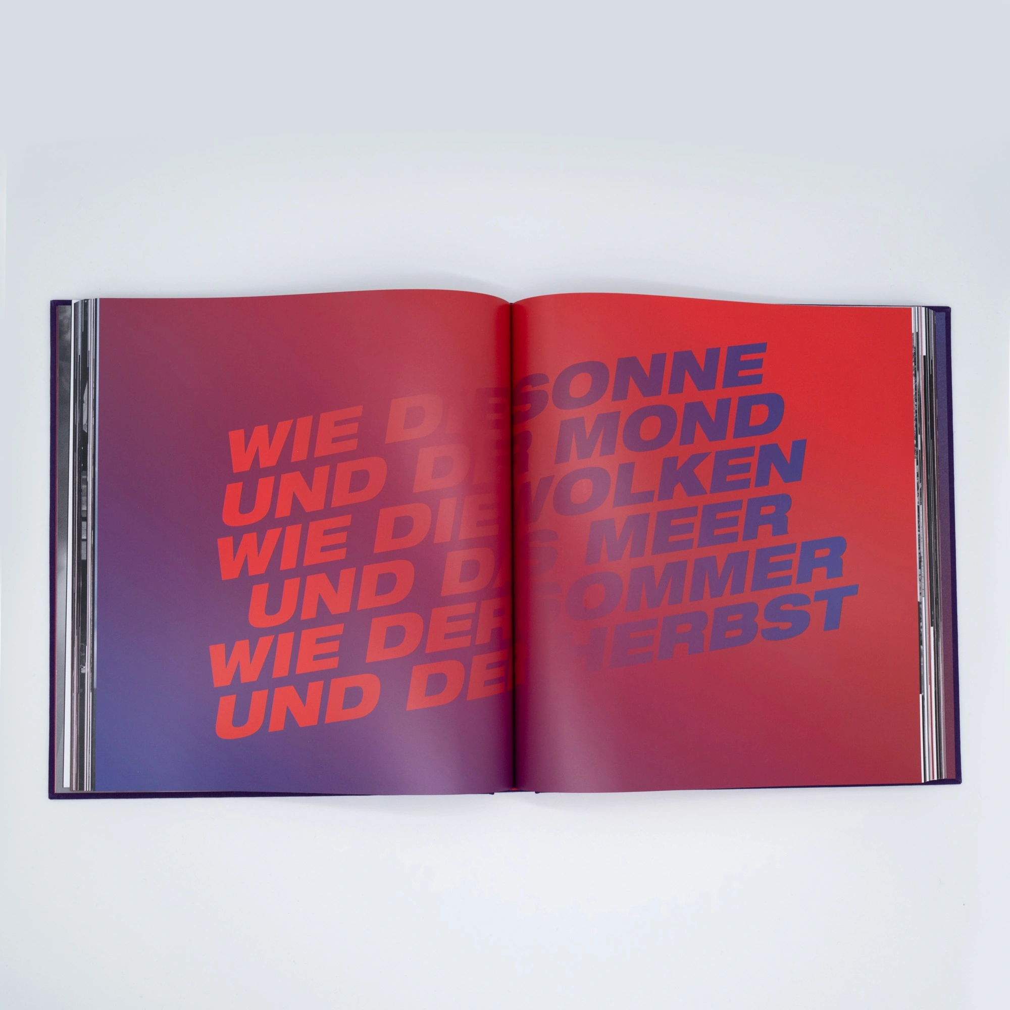 LIMITED EDITION: WIR GEHÖREN ZUSAMMEN - ON TOUR WITH NENA
