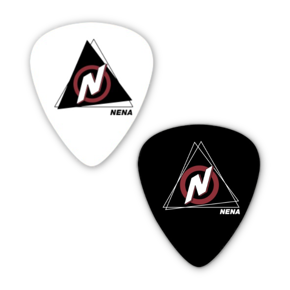 Plectrums set van 2