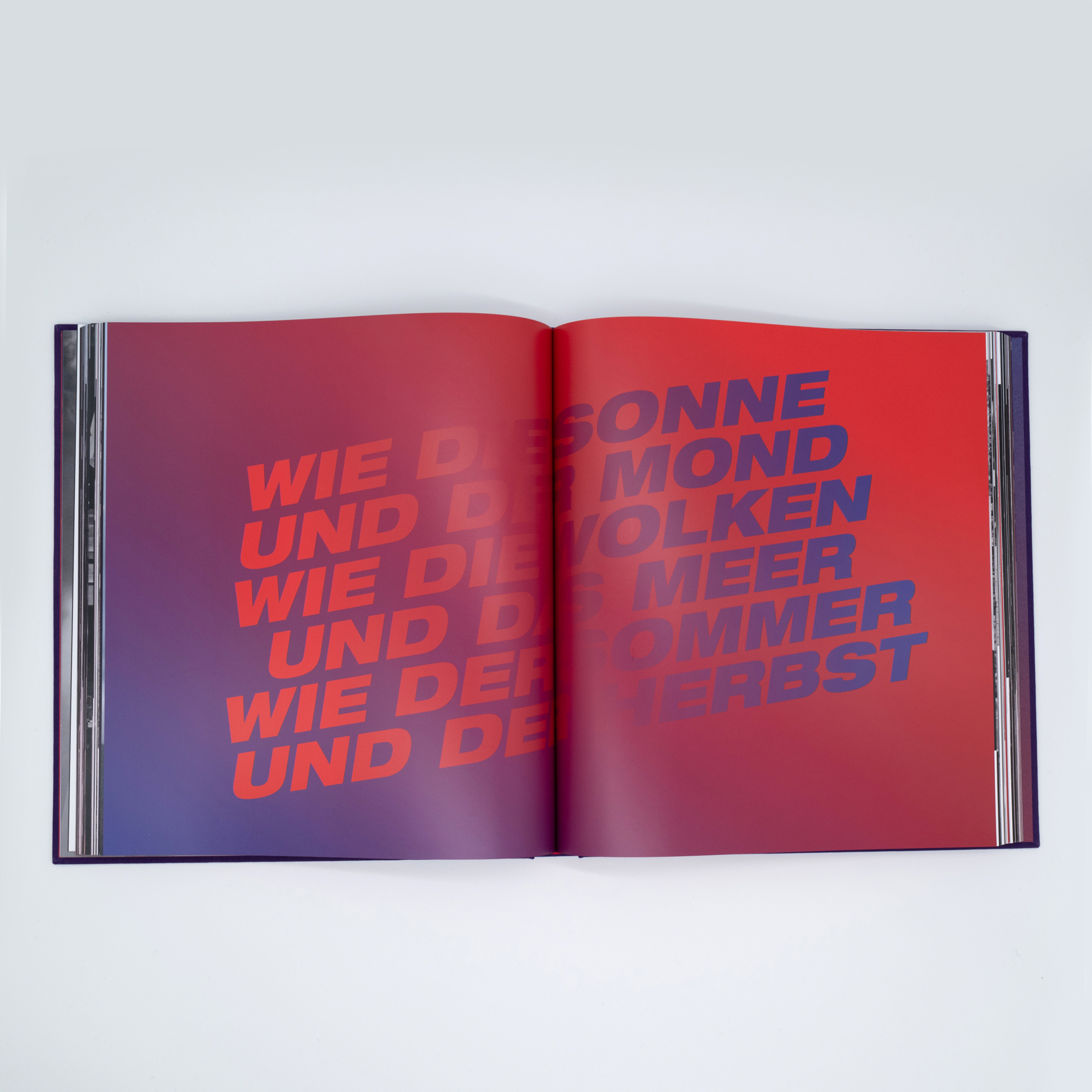 LIMITED EDITION: WIR GEHÖREN ZUSAMMEN - ON TOUR WITH NENA